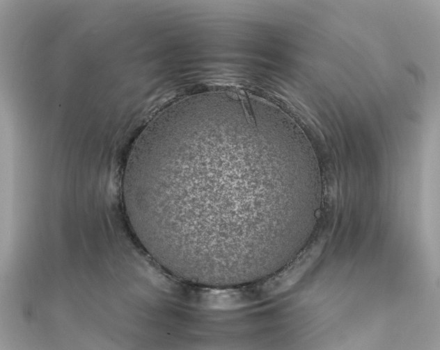 X0000111850277200907301117