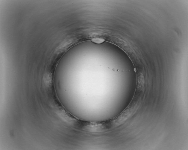 X0000111850278200907301117