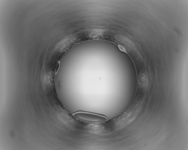 X0000111850280200907301117