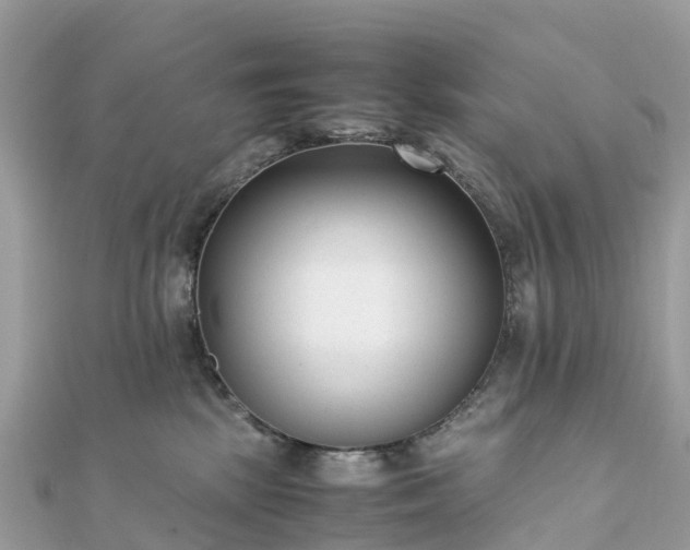 X0000111850281200907301117