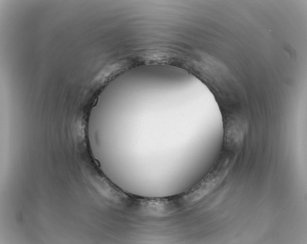 X0000111850282200907301117