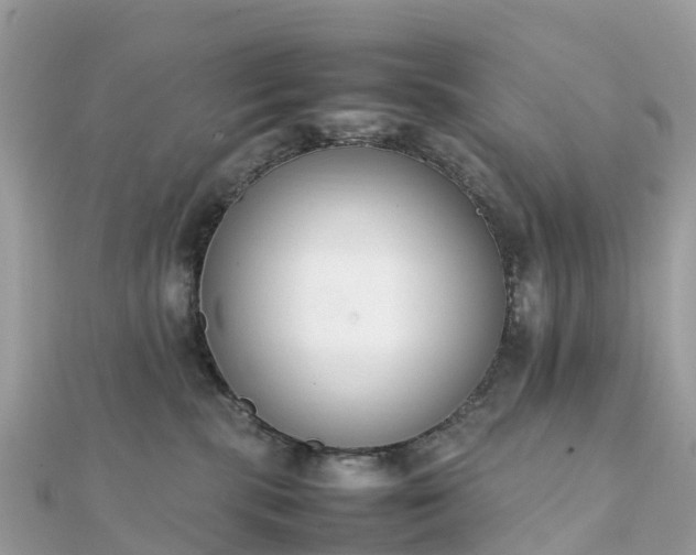 X0000111850283200907301117