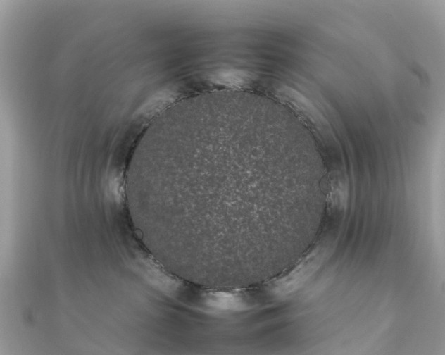 X0000111850285200907301117