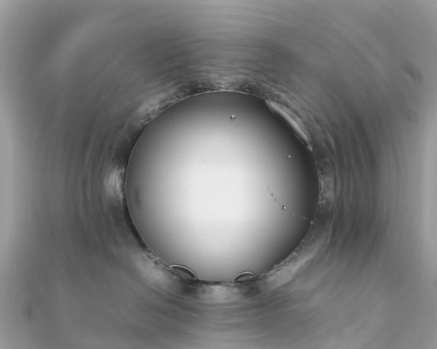 X0000111850286200907301117