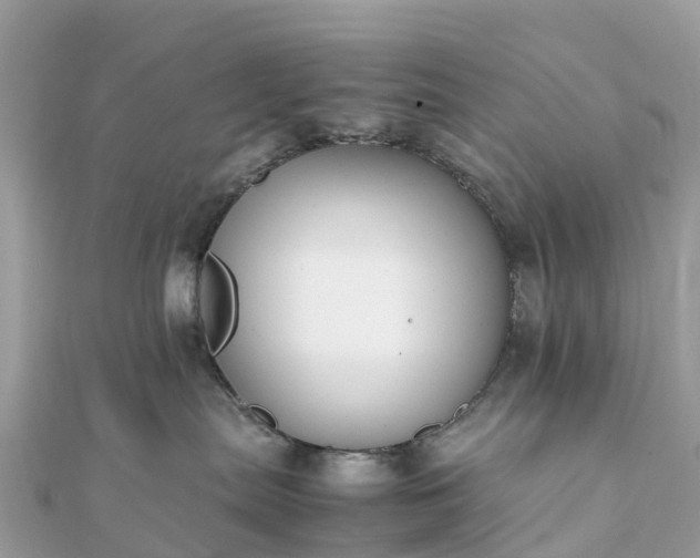 X0000111850287200907301117