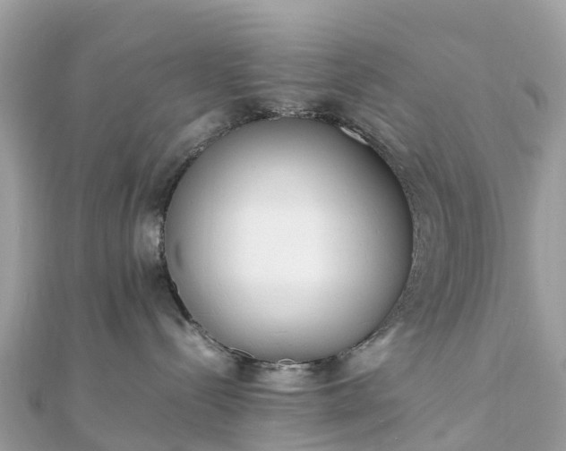 X0000111850288200907301117