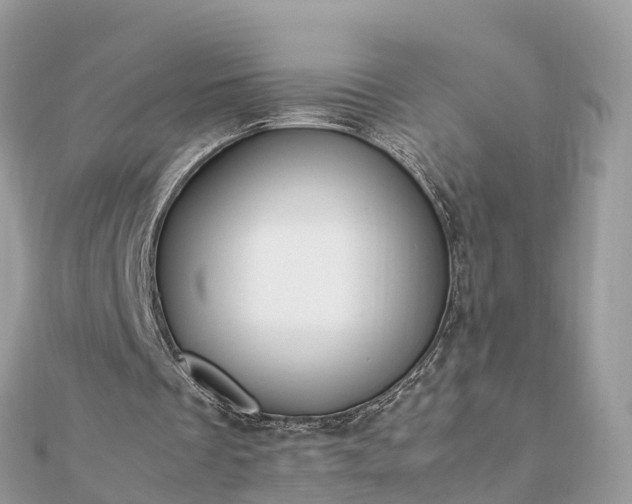 X0000111850289200907301116