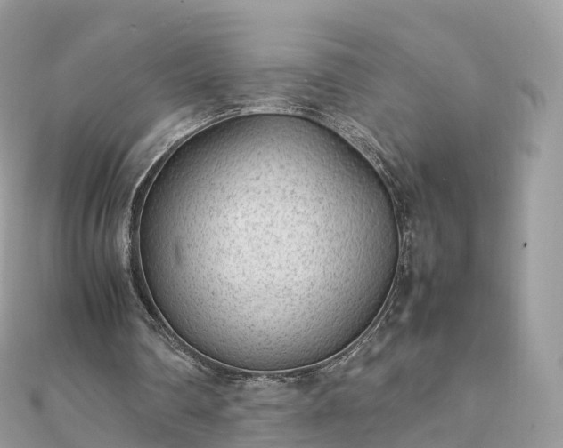 X0000111850290200907301116