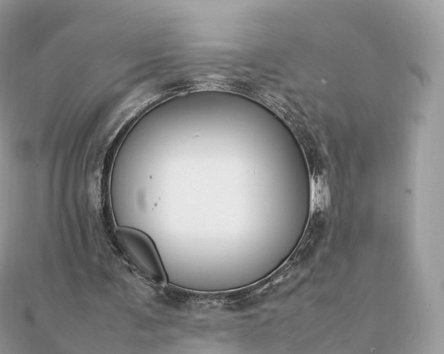 X0000111850291200907301116