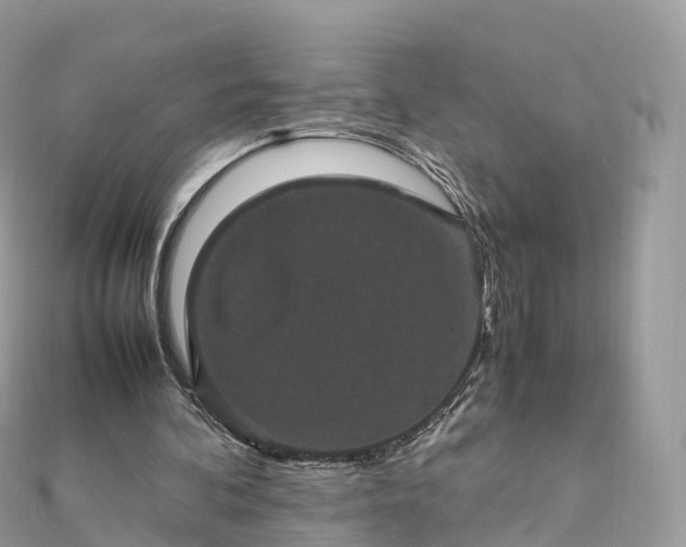 X0000111850292200907301116