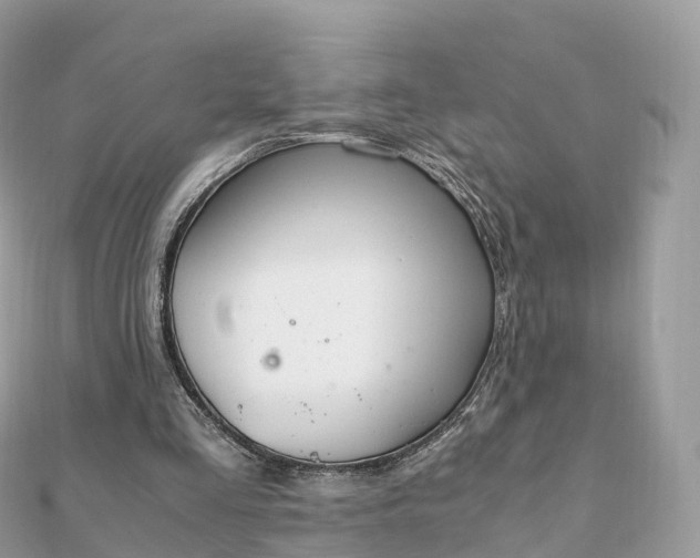 X0000111850293200907301116