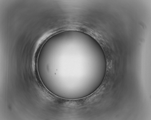 X0000111850294200907301116