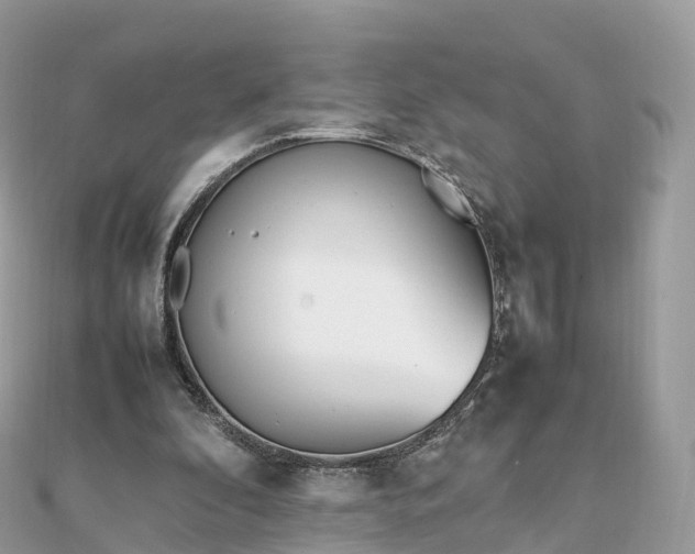 X0000111850296200907301116