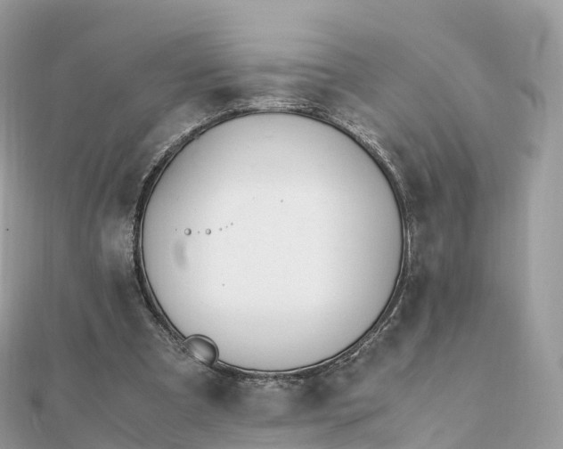 X0000111850297200907301116