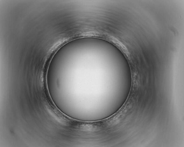 X0000111850298200907301116