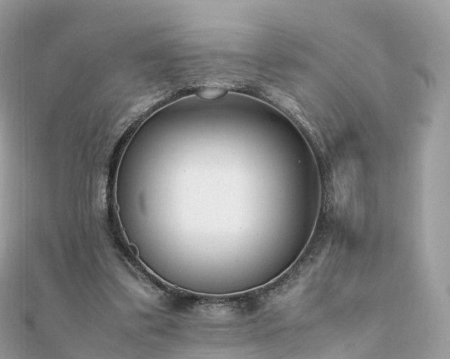 X0000111850299200907301116