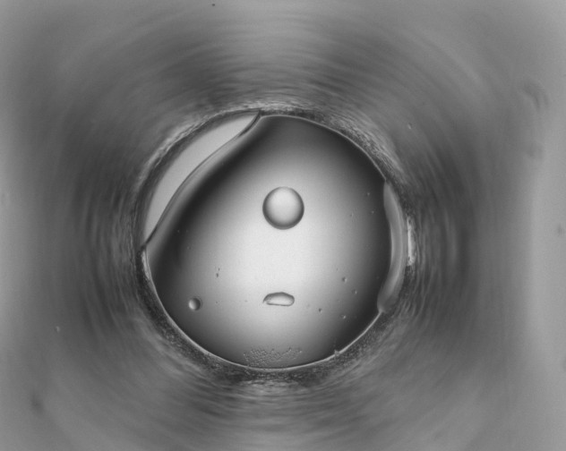 X0000111850300200907301116