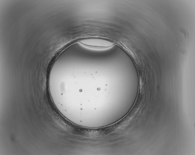 X0000111850301200907301116