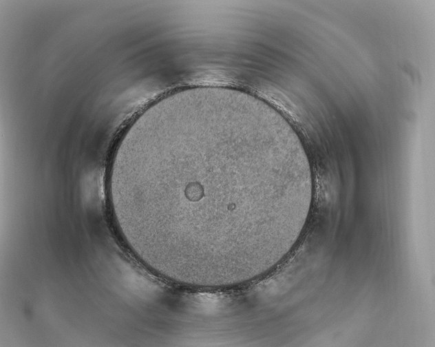 X0000111850302200907301116