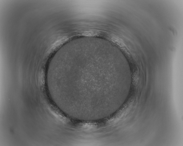 X0000111850303200907301116