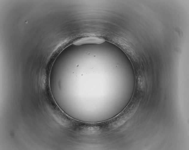 X0000111850304200907301116