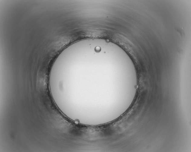 X0000111850305200907301116