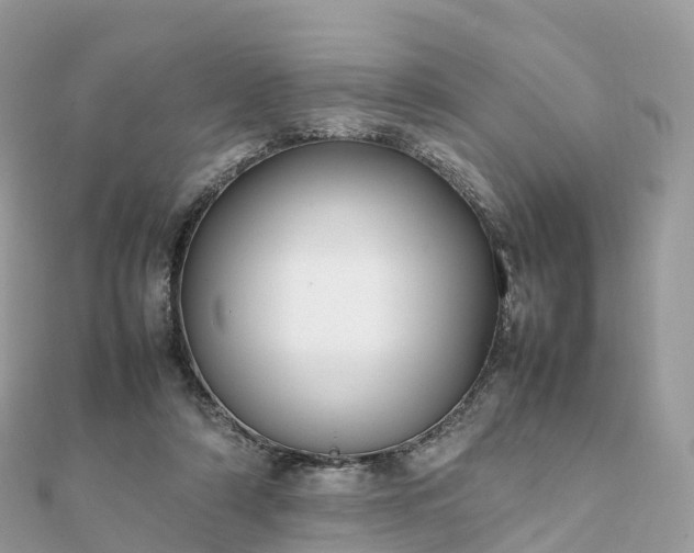 X0000111850306200907301116