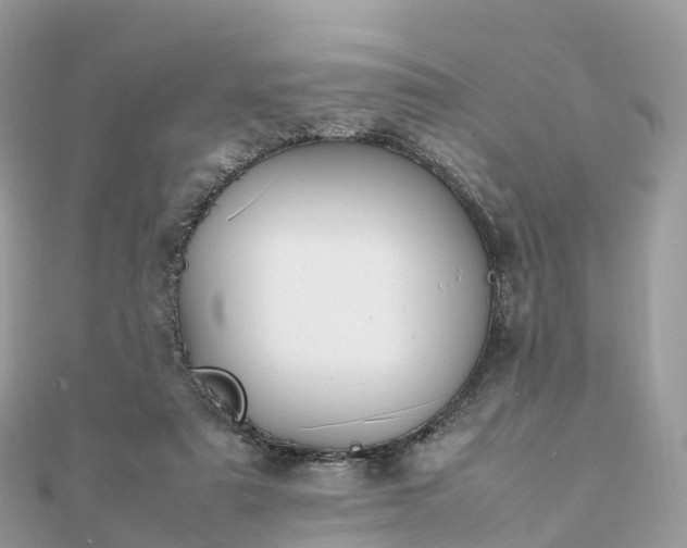 X0000111850307200907301116