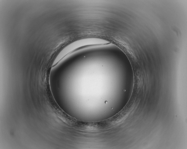 X0000111850308200907301116