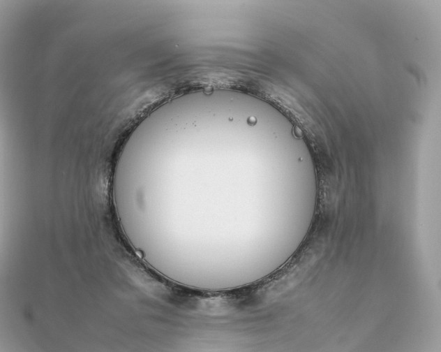 X0000111850309200907301116