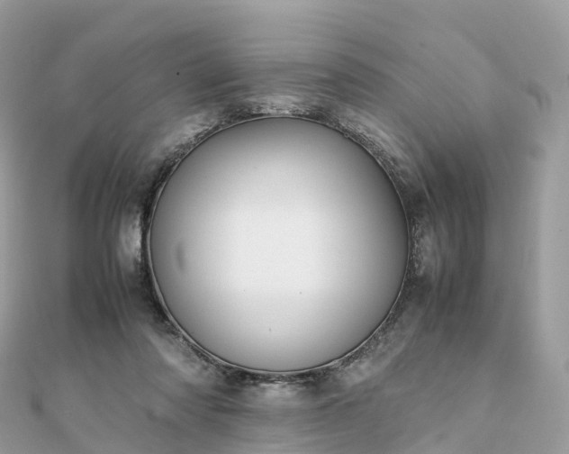 X0000111850310200907301116