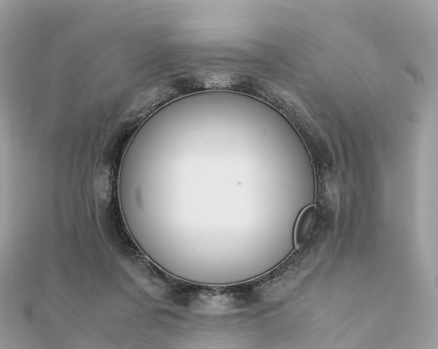 X0000111850311200907301116