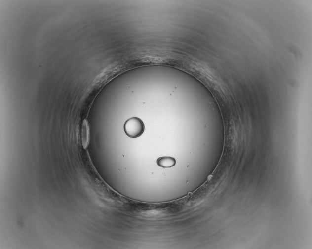 X0000111850312200907301116