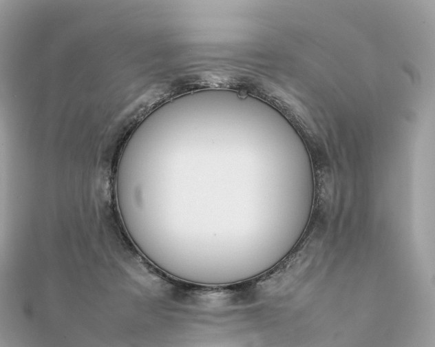 X0000111850313200907301116