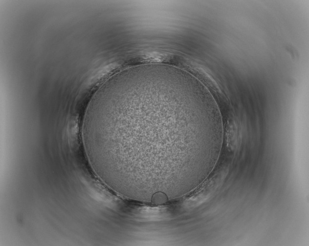 X0000111850314200907301116