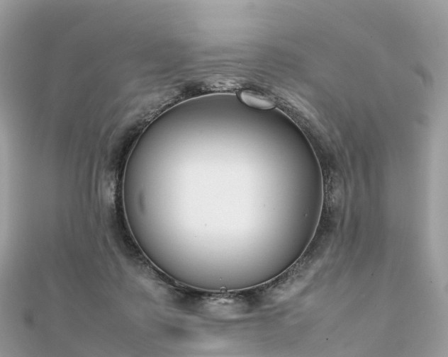 X0000111850315200907301116