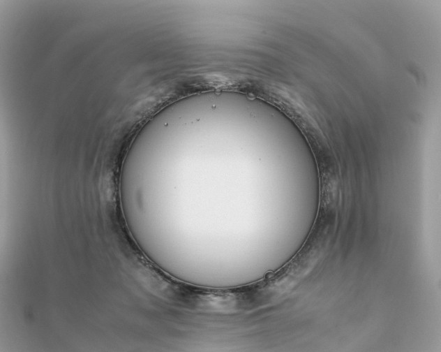 X0000111850317200907301116