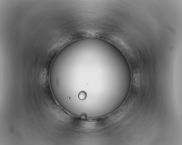 X0000111850318200907301116