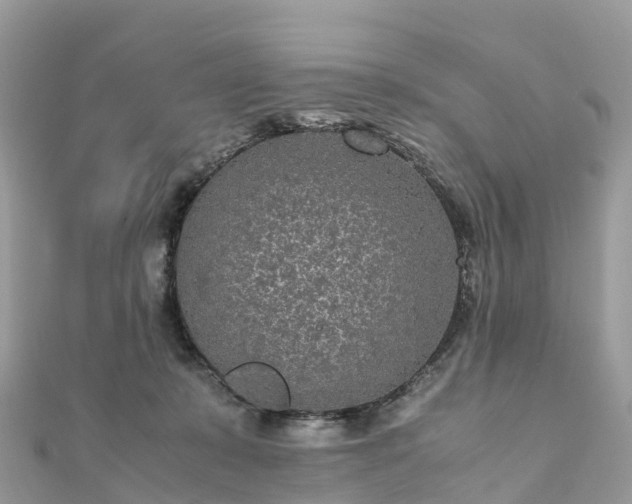 X0000111850319200907301116