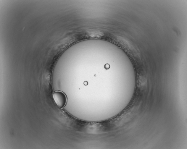 X0000111850321200907301116