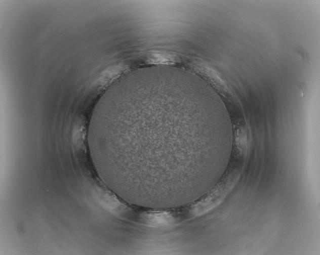 X0000111850322200907301116