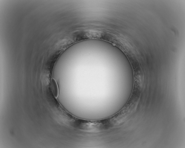 X0000111850323200907301116