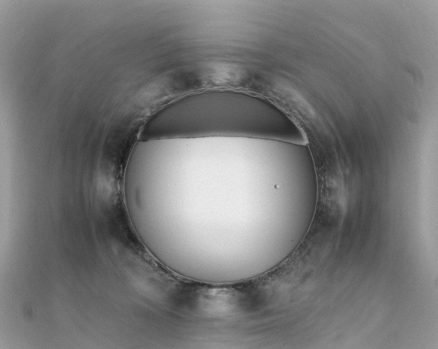 X0000111850324200907301116