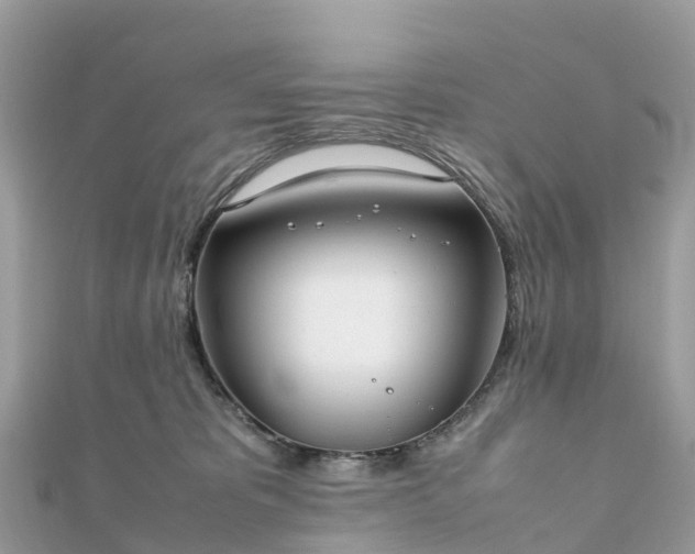 X0000111850325200907301116