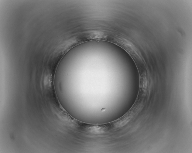 X0000111850326200907301116