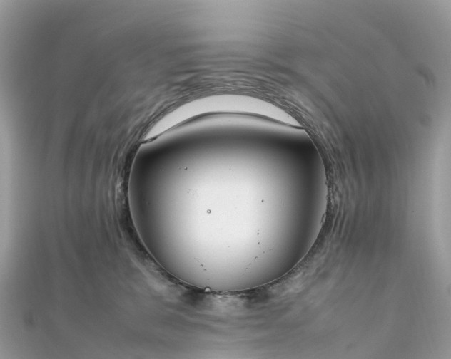 X0000111850327200907301116