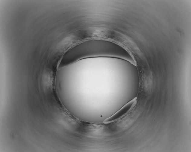 X0000111850328200907301116