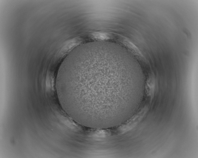 X0000111850330200907301115