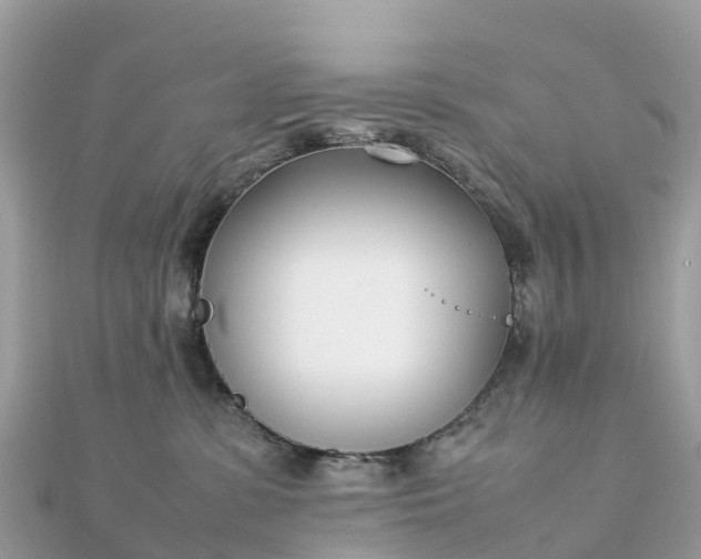 X0000111850331200907301115