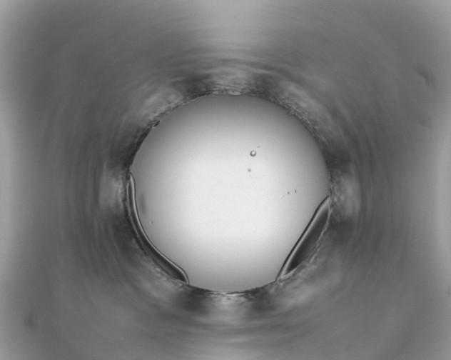 X0000111850333200907301115